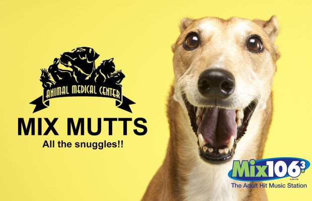 MIX MUTTS