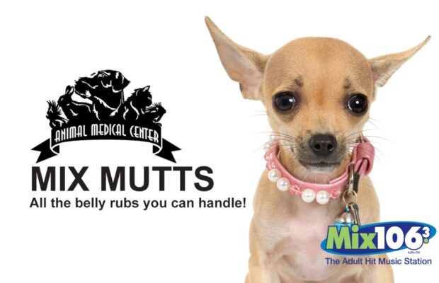 MIX MUTTS