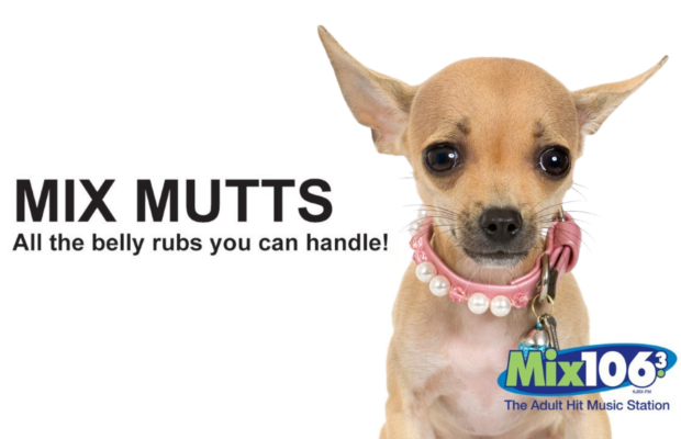 MIX MUTTS