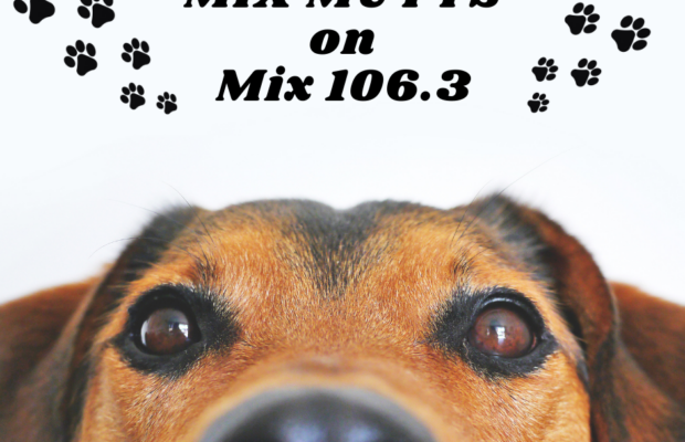 MIX MUTTS