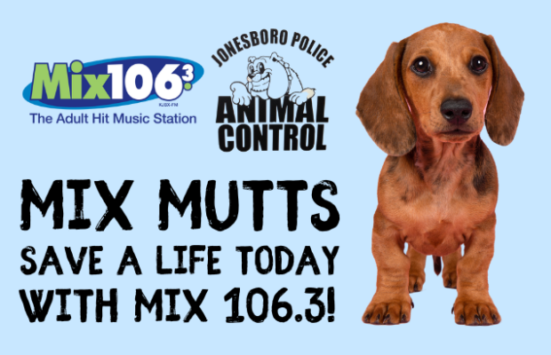 MIX MUTTS